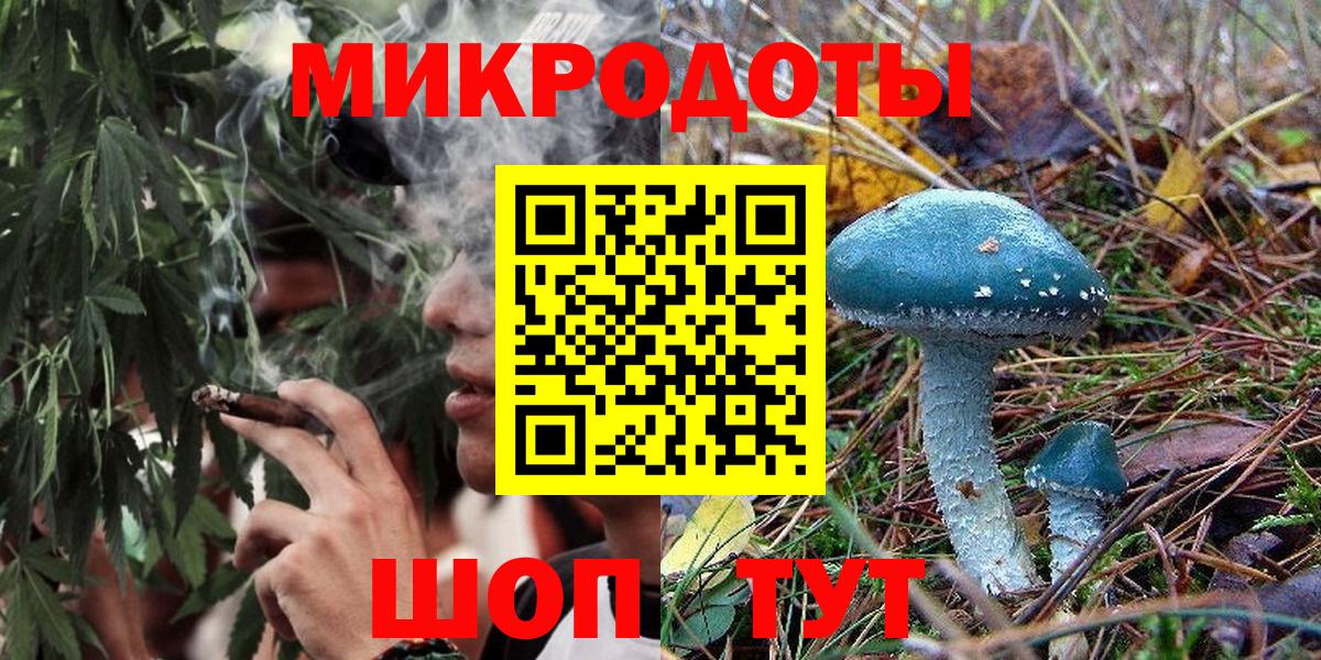 Галлюциногенные грибы прущие грибы  Вход с VPN  Узловая 